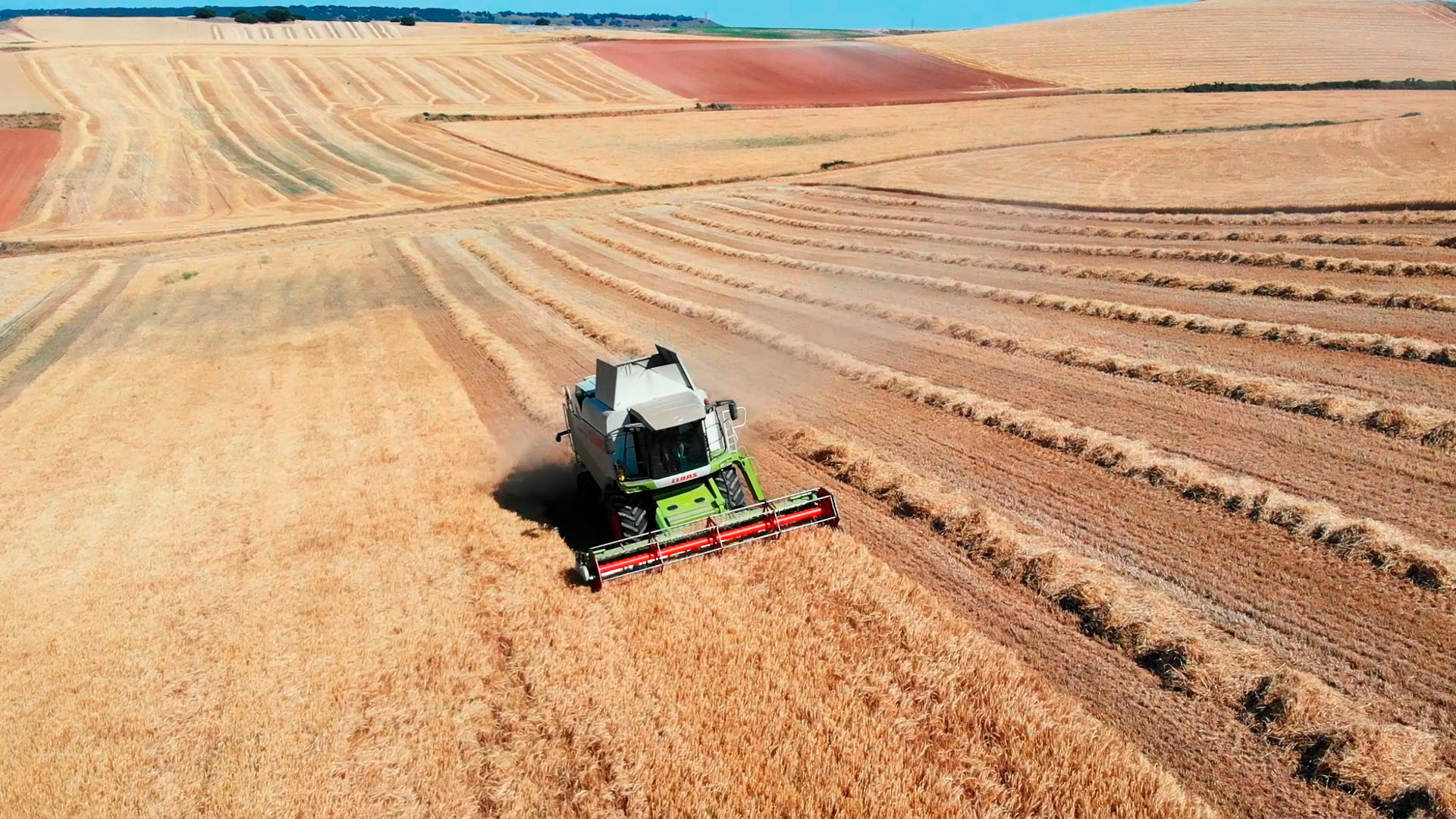 Fotograma de AGRONUAL realizado por EVFILMS